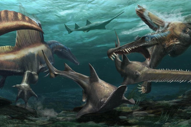Bilinen İlk Yüzen Dinozor Bulundu: Spinosaurus