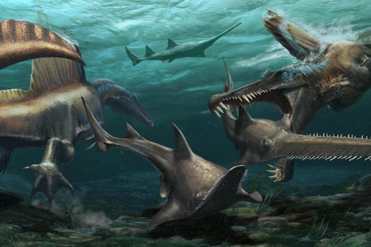 Bilinen İlk Yüzen Dinozor Bulundu: Spinosaurus