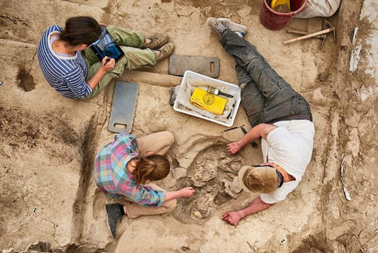 Çatalhöyük Sakinleri Kendi Yaşadıkları Evlere Gömülüyordu