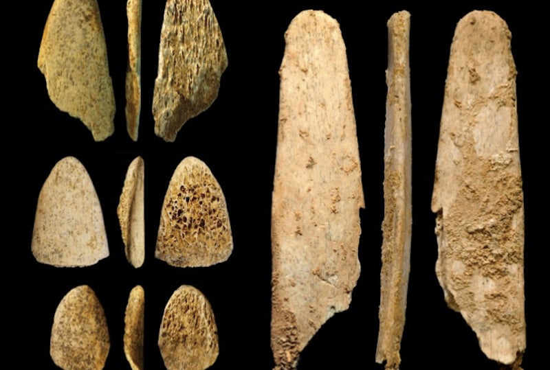 Neandertaller Kemik Alet Yaparken Seçici Davranıyordu