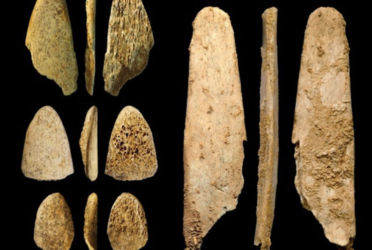 Neandertaller Kemik Alet Yaparken Seçici Davranıyordu