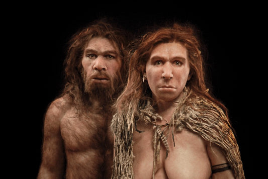Neandertal Ailesinde Baba Anneden Gençti