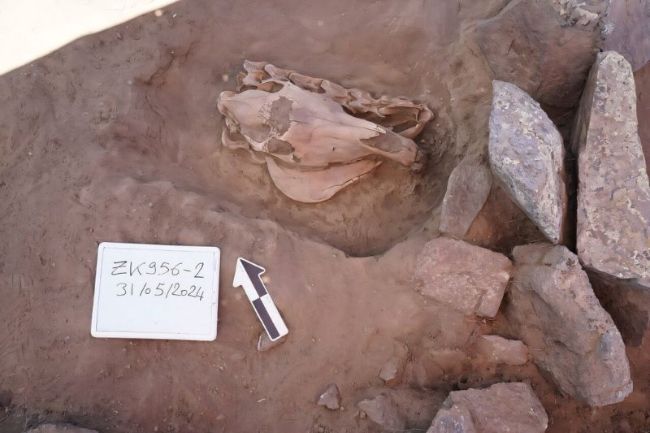 Moğol Kurganlarında Şölen Varsayımları Değişiyor