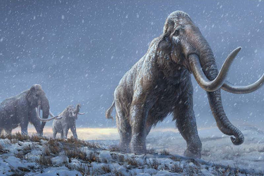 Milyon Yıllık Mamut Genomu, En Eski Antik DNA Rekorunu Kırdı