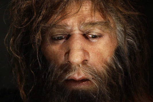 Bebek Neandertallerin, Yetişkinler Gibi Geniş Göğüs Kafesi Vardı