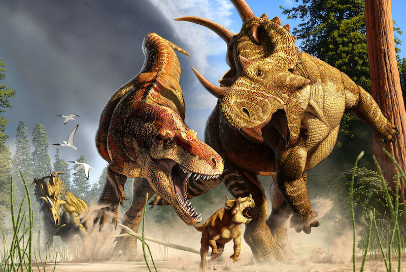 T. Rex’in Uzun Bacakları Maraton Yürüyüşü İçin Evrilmiş