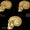 Neandertal ve İnsanın Son Ortak Atası Sanal Olarak Canlandırıldı