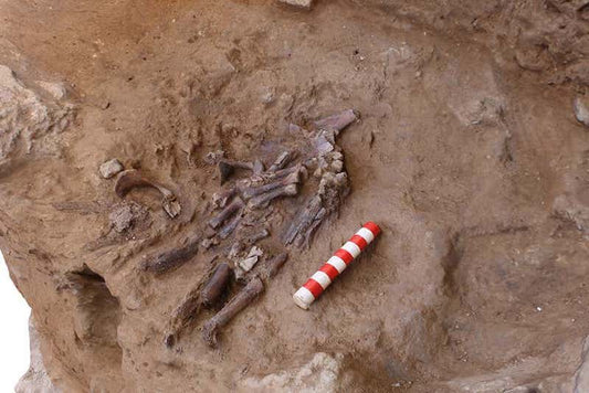 Neandertallerin Ölülerini Gömdükleri Kesinleşti