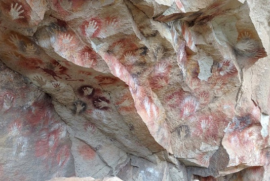 Homo sapiens Nedir?