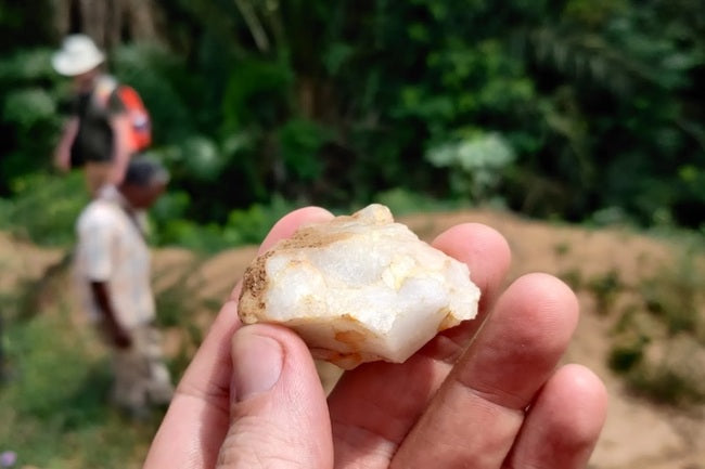 Erken Homo Sapiens, Yağmur Ormanlarında Yaşamış Olabilir