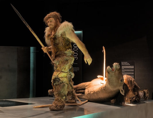 Neandertaller ve Homo sapiens Arasındaki Fark Nedir?