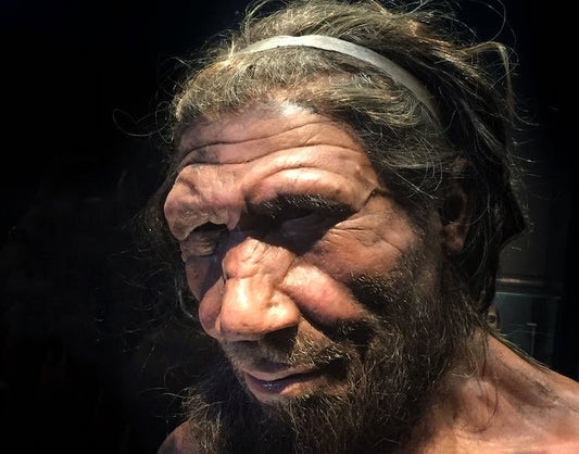 Neandertaller ve Modern İnsanlar Sanılandan Çok Fazla Seks Yaptı