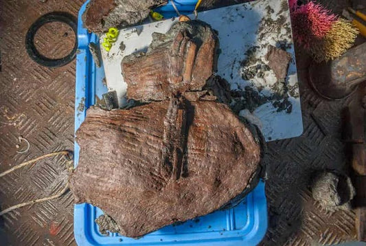 Thonis-Heracleion Kentinde MÖ 4. Yüzyıla Ait Meyve Sepetleri