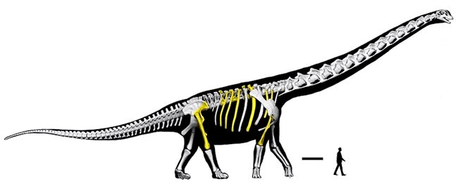 Güneydoğu Asya’nın En Büyük Dinozoru Keşfedildi