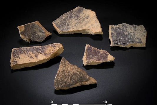 Bu Atölye 500 Yıl Salyangozlardan Mor Boya Üretmiş