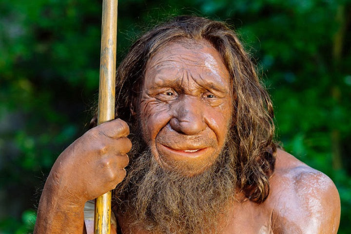 Bazılarımızın Sabah İnsanı Olmasının Nedeni Neandertaller Olabilir