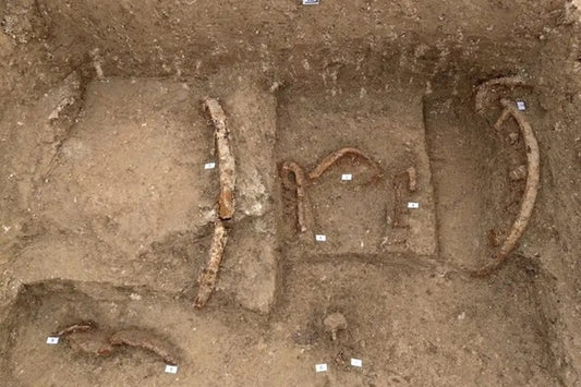 İtalya’da Savaş Arabasıyla Gömülmüş ‘Prens’ Mezarı Bulundu