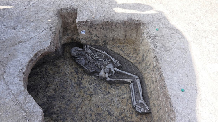 Slovakya’da Bronz Çağa Ait Muhtemel Şaman Mezarı Bulundu