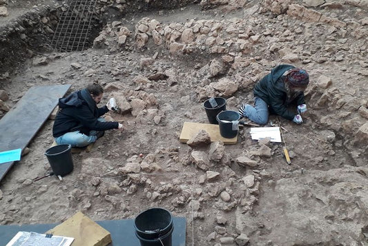 Natufian İnsanları 15.000 Yıl Önce Yılan Yiyordu
