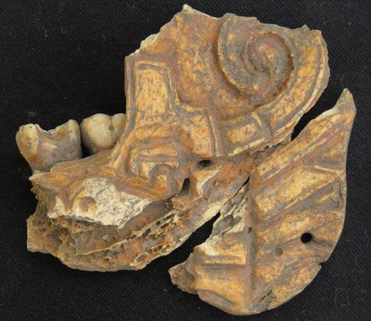 Meksika’daki 1300 Yıllık İnsan Kemikleri Boyanarak Takı Yapılmış