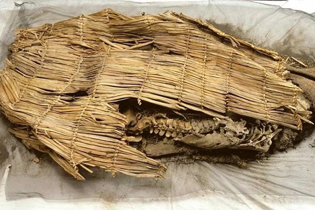 Bilinen En Eski Mumya, Modern Yerlilerin Doğrudan Atası Çıktı