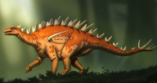 Muhtemelen Dünyanın En Eski Stegosaur Türü Bulundu