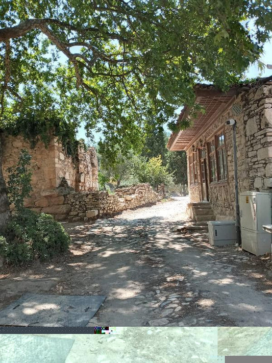 Muğla Stratonikeia Antik Kenti'nde 'Tapınak-2' İçin Kazı Çalışmaları Başladı