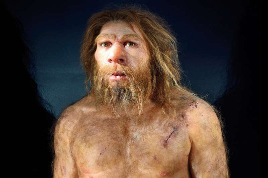 Neandertaller Uzun Mesafe Değil, Sürat Koşucusuydu
