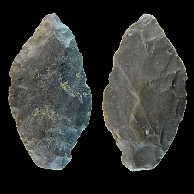 Taş Aletler, Neandertal Avcılığının Hikayesini Anlatıyor