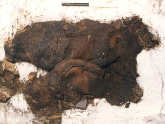 İskoçya’da Bir Mezarda 600 Yıllık Çizmeler Bulundu
