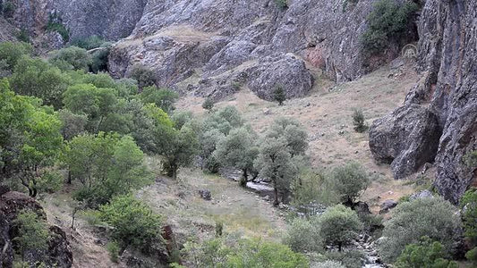 Tarihin doğayla bütünleştiği 'Rabat Vadisi' el değmemiş güzellikleriyle ilgi çekiyor
