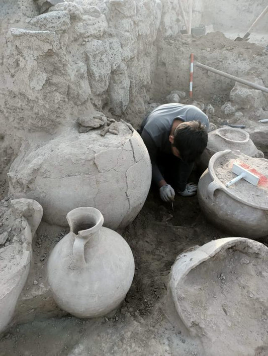 Tatarlı Höyük'te Orta Demir Çağ'a ait depolama alanı bulundu