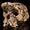 Sahelanthropus Tchadensis’in Hominin Olmadığı Anlaşıldı