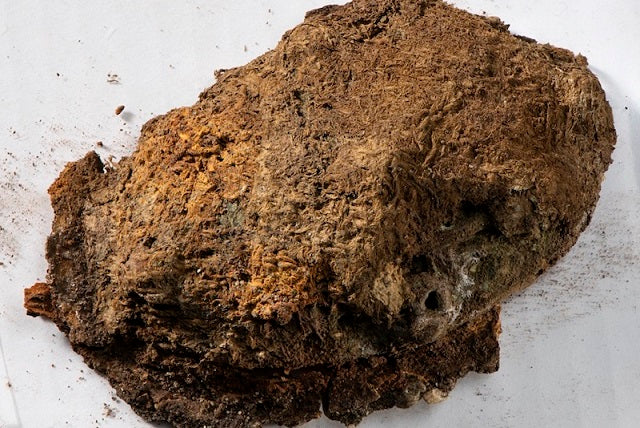Viking Kadın Mezarında Benzersiz Kumaş Parçaları Bulundu