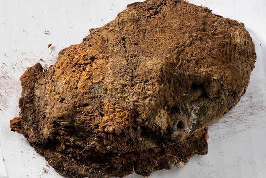 Viking Kadın Mezarında Benzersiz Kumaş Parçaları Bulundu