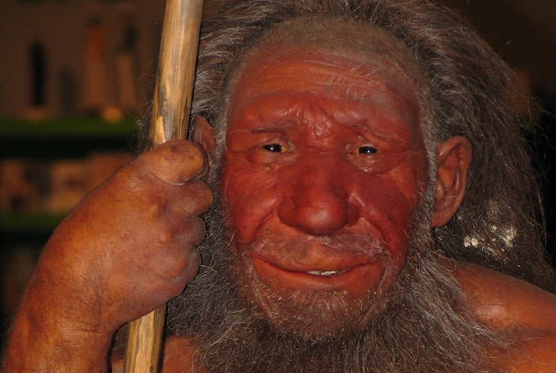 Neandertallerin Yok Oluş Sebebine Dair Bilimsel Bakış Değişti
