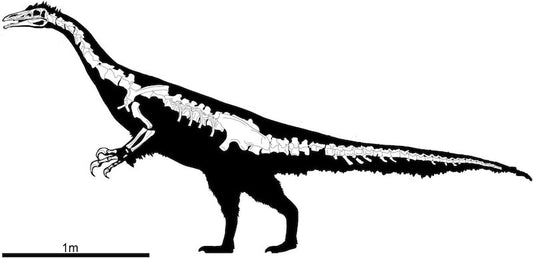 Çin’de Devasa Pençeli Tuhaf Bir Dinozor Bulundu