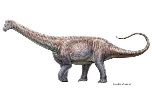 Şili’nin Atacama Çölü’nde Yeni Bir Dinozor Türü Keşfedildi