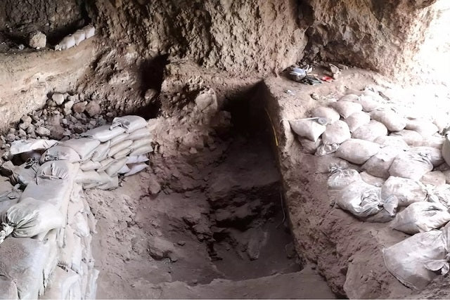 Özbekistan’da Arpa Hasadına Dair 9.200 Yıllık Bulgular!