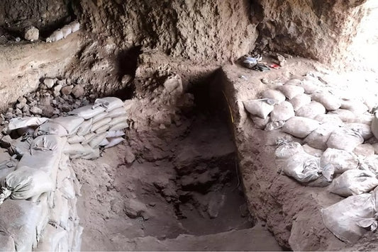 Özbekistan’da Arpa Hasadına Dair 9.200 Yıllık Bulgular!