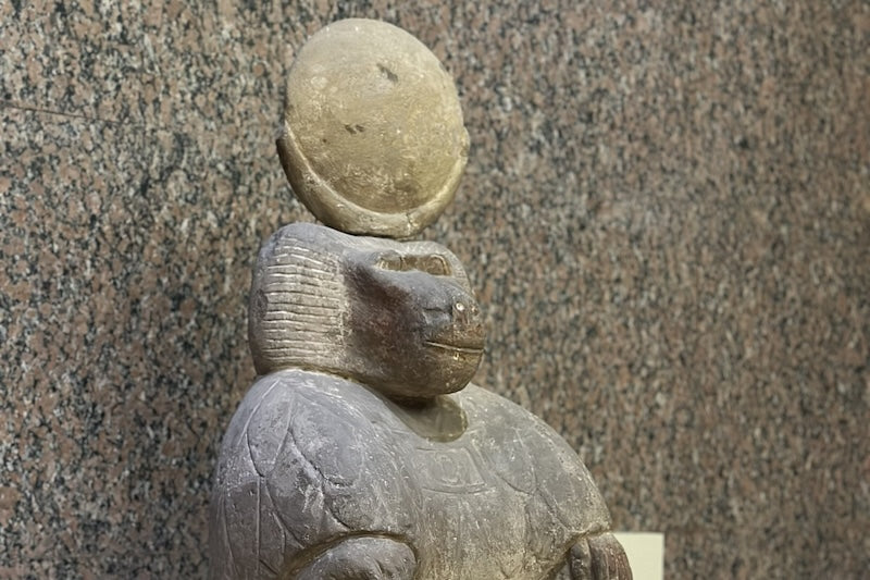 Mısırlılar Tanrı Thoth’u Betimlemek için Neden Babunları Seçti?