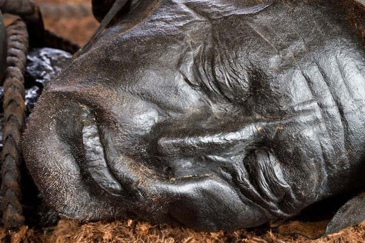 Kurban Edilen Tollund Adamı’nın Son Yemeği İncelendi
