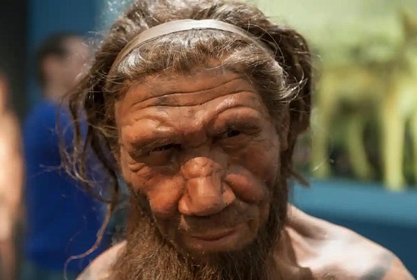 Mağara Tortusundaki DNA, Neandertal Yaşamını Aydınlatıyor