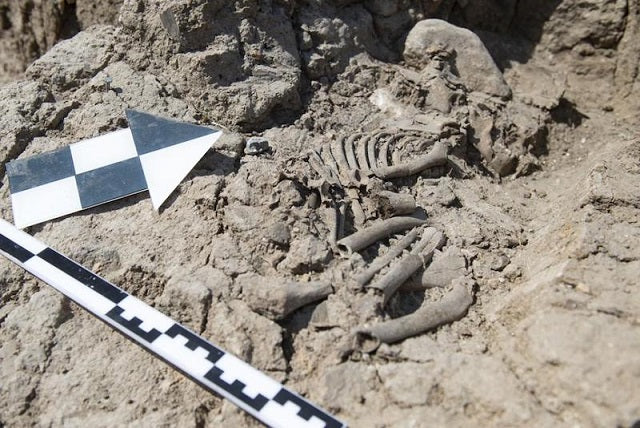 Tozkoparan Höyüğü’nde 5.500 Yıllık Çocuk İskeleti Bulundu