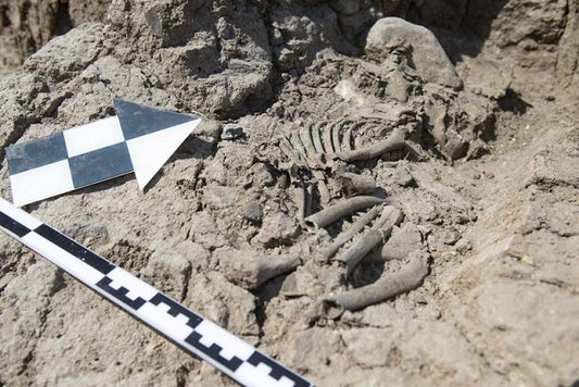 Tozkoparan Höyüğü’nde 5.500 Yıllık Çocuk İskeleti Bulundu