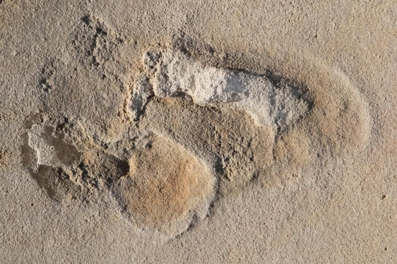 Girit’te Bilinen En Eski Hominin Ayak İzleri Bulundu