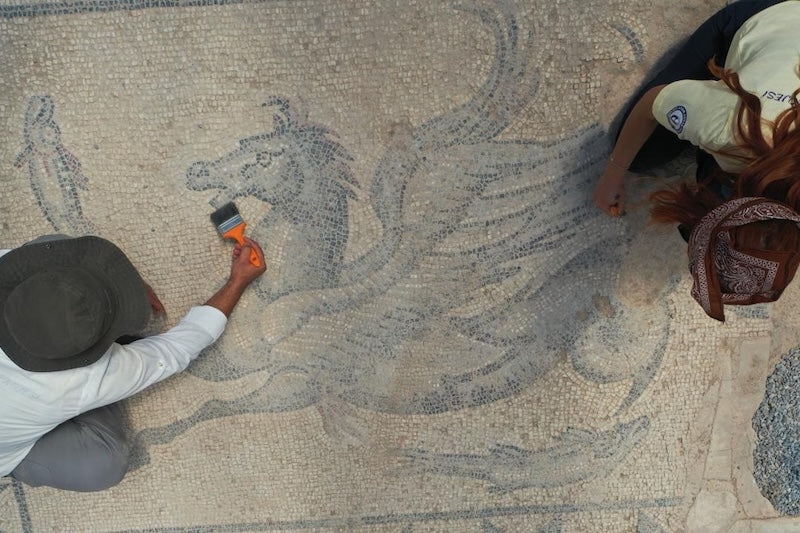 Aydın’da Poseidon’un Kutsal Hayvanı Hippokampos’lu Mozaik