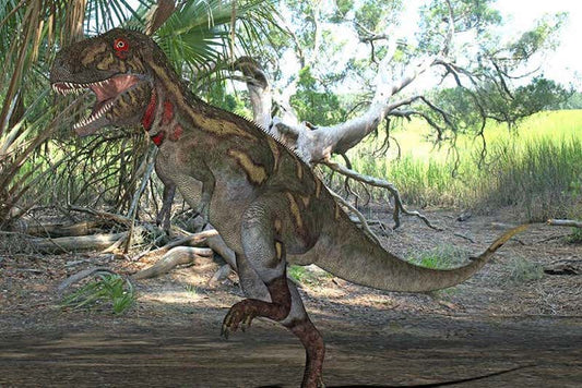 Küçük T. rex Fosilleri Yeni Bir Tür Değilmiş