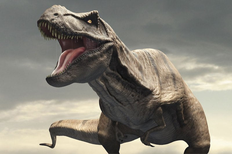 T. rex’in Kafasında ‘Klima’ Vardı