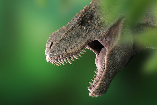 Dünya Üzerinde Şimdiye Kadar Yaklaşık 2,5 Milyar T. rex Yaşadı